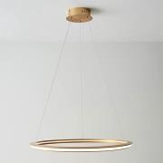 Dothan LED Ring Ceiling Pendant Light In Satin Gold