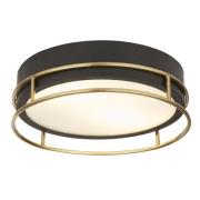 Phoenix 2 Light Frosted Glass Flush Light In Black And Brass