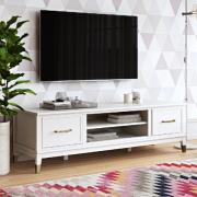 Wantagh Wooden TV Stand With 2 Doors In White