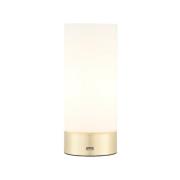 Destin Opal Glass Cylindrical Shade USB Table Lamp In Brass